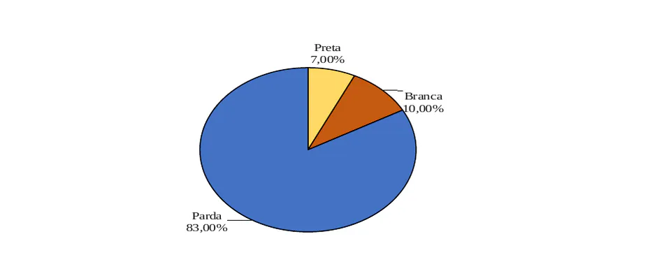 Figura 1