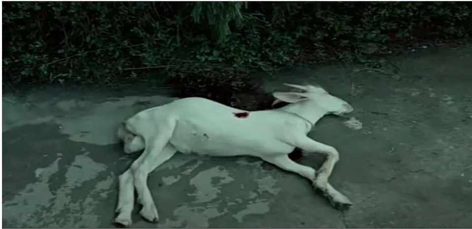 Figure 6: Screenshot in the film Wu Sha