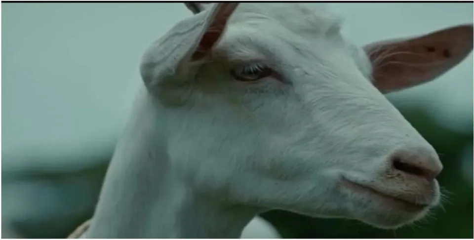 Figure 4: Screenshot in the film Wu Sha
