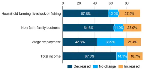 Figure 2: Change in Income by Source, Compared to August 2019 (% of Households and Source of Income) in the Wake of the COVID-19 Pandemic in Nigeria