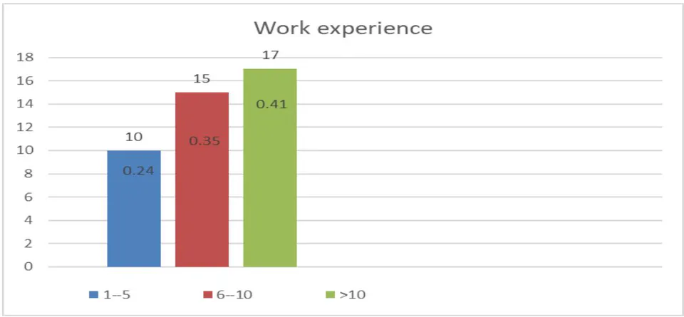 Figure 3: Work Experience