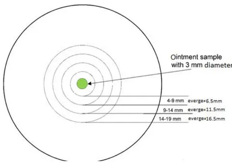 Figure 10: The change in the copper concentration in LB agar (3 hours from the application at 37\ ^{\circ}C ) ointment type A sample (left) and the map of a Petri dish used for cutting off agar samples.