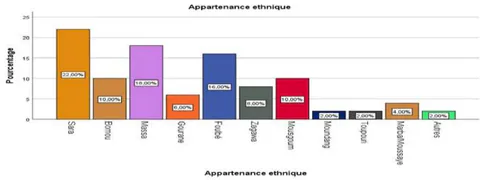 Figure 4: Ethnic groups met during the survey