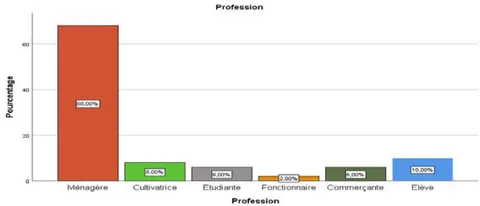 Figure 6: Profession of Respondents