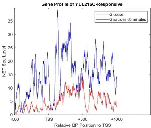 Figure 4: Gene profile based on NET-seq levels of YDL216C,which responded to galactose in 60 minutes of exposure