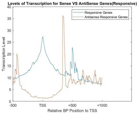 Figure 6: Levels of transcription in genes that responded to galactose in 60 minuteinterval in both sense and antisense direction using NET-seq data