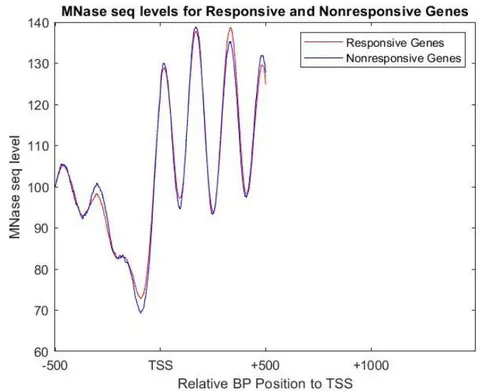 Figure 8: MNase seq levels for both responsive and non responsive genes when exposed to 60minutes of a galactose environment, in order to identify the possible promoter region