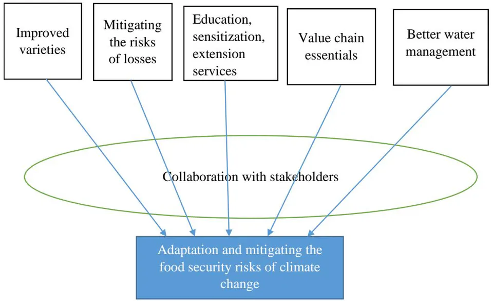 Figure 1: NSAs-Holistic Empowerment Framework