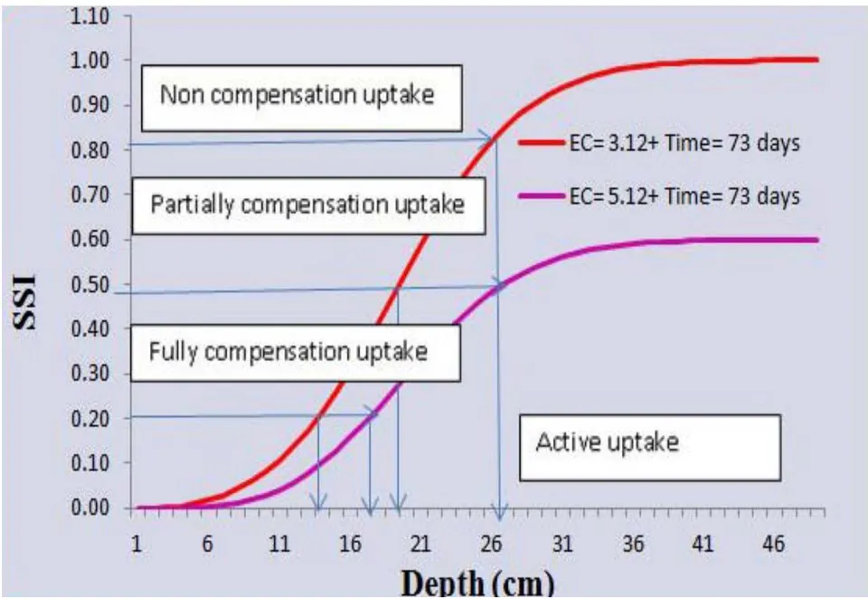 Figure 4.5: Logical Model of SSI