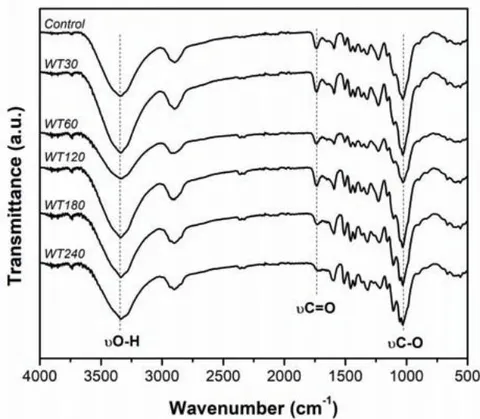 Figure 3: ATR-FTIR spectra of wood waste non-treated (Control) and treated (WT) at different times