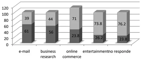 Figure 1: Internet usage