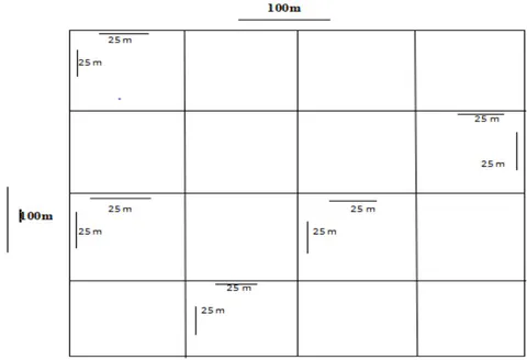 Figure 1: Plot Layout with Simple Random Sampling Technique