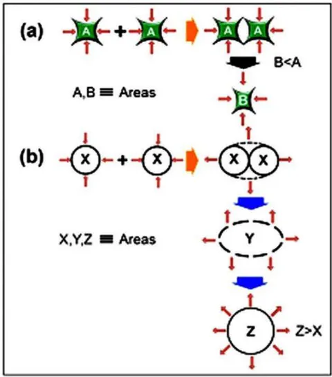 Figure 13a: Superposition of two pull back gravitons to form a new Quantum state. Figure 13b: Superposition of two push forward gravitons to form a new Quantum state.