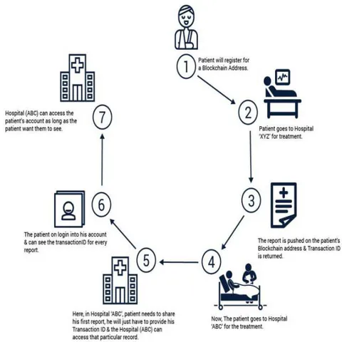 Fig. 6: The structure of the Blockchain