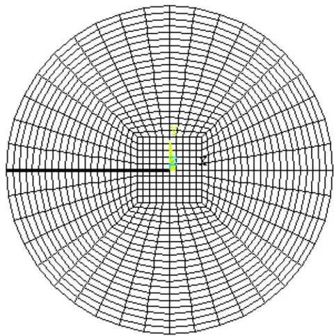 Figure 8: FE mesh of the XFEM for the boundary layer model