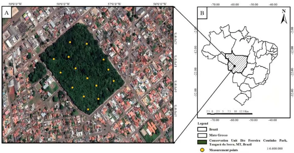 Figure 1: Map of the study area: A) Brazil and Mato Grosso State, B) Conservation Unit Ilto Ferreira Coutinho Park, Tangará da Serra, MT, Brazil.
