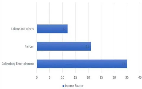 Figure 6: Source of Income