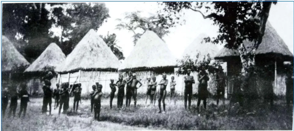 Fig. 6: The Bafut Palace in 1889