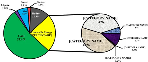 Figure 1: Electricity Generation Mix