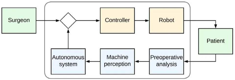 Figure 2: The System 3 level is capable of autonomously defining specifications for planning and performing a surgical task, while at level 2 all these specifications are determined by the surgeon /18/