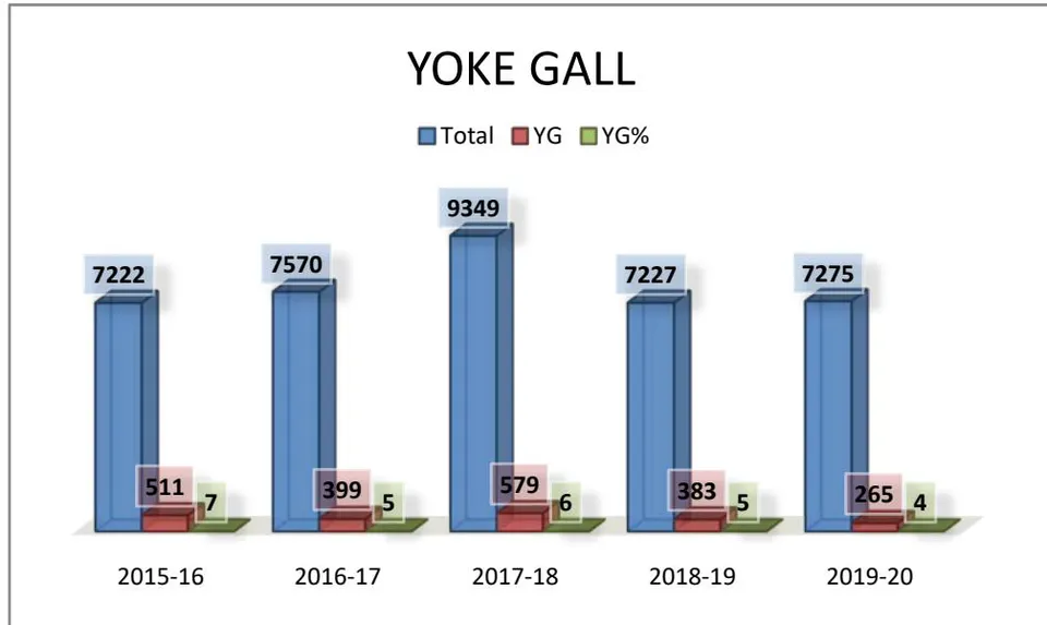Fig. 6: Number of animals affected with yoke gall against total number of ailing animals in each year