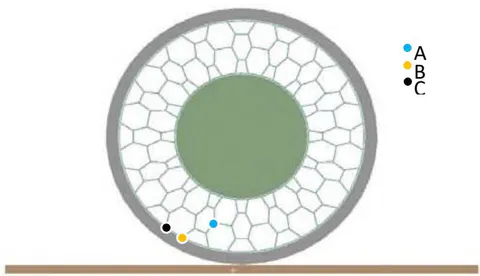 Figure 4: Points for Taking Displacement Data