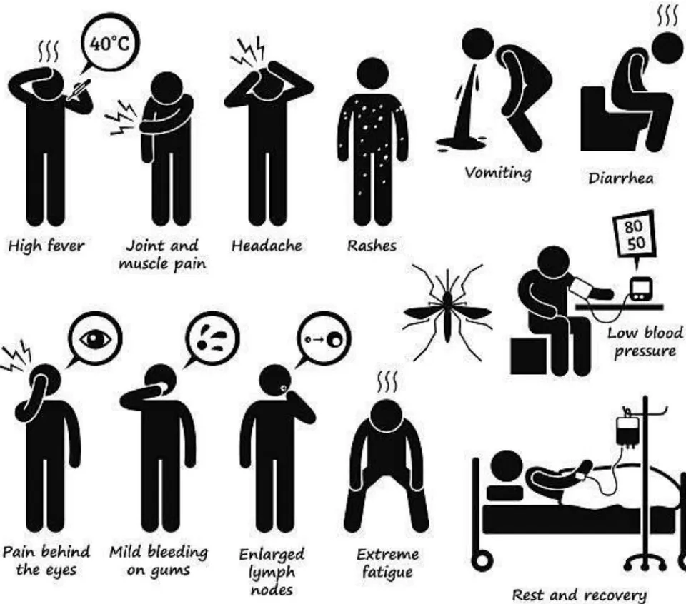 Fig. 2: Pictorial Representation of Dengue Fever Symptoms