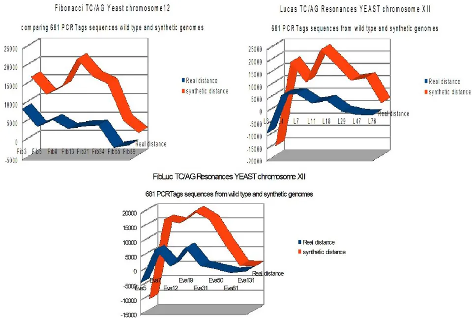Figure 5: Comparing TC/AG Fibonacci, Lucas and FibLuc distances in real and synthetic YEAST Chromosome XII PCRTags (regular-reverse distances weighted by the length of the genome, see detailed data in supplementary materials).