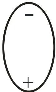 Fig. 1: Polarization of the raindrop