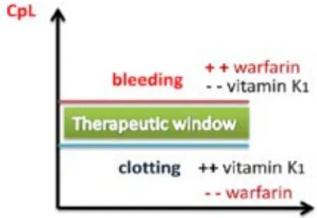 Figure 6: Vitamin K1-warfarin interaction effect with an inverse proportion between warfarin intake and vitamin K1. When warfarin levels are increased, people have more subjected to bleeding. Conversely, lower levels of warfarin lead to high risk of clotting. There is a narrow range when the benefits of warfarin are more significant than the risks, its therapeutic window as well as there are some interactions between some foods and warfarin intake