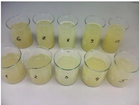 Fig. 14: The appearance of the solutions when studying the quantitative factors of the powder