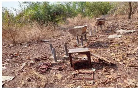 Figure 2: A Vandalised Apiary in the District Of Djidja (Benin). More than 20 Hives are Destroyed at this Apiary Each Year.