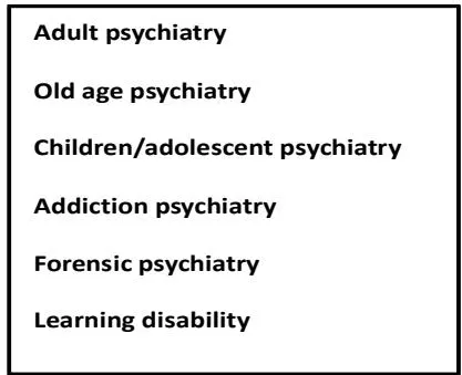 Figure 2: AI in psychiatry