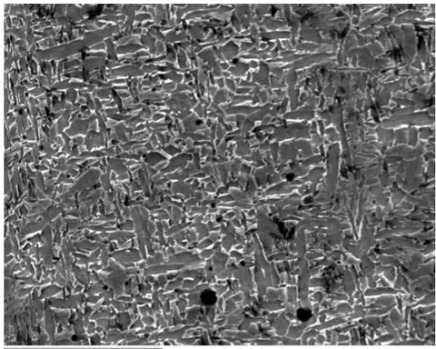 Fig. 8: Electronic image of specimen #4 weld metal microstructure 20 μm