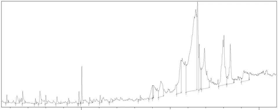 Figure 1: Total Ion Chromatogram (TIC) of the Seed Extract