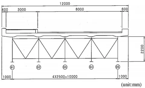 Fig. 3: Cross section of superstructure for examination bridge