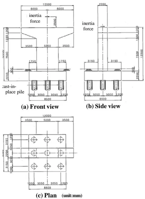 Fig. 4: Structural general view of pier