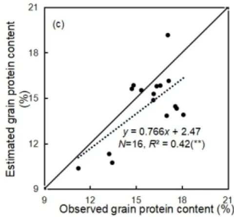 Figure 4: Comparison of grain protein content estimation and observation for new semi-empirical model with Exp. 4 (a) and Exp. 6 (b) and for simple linear model (c).