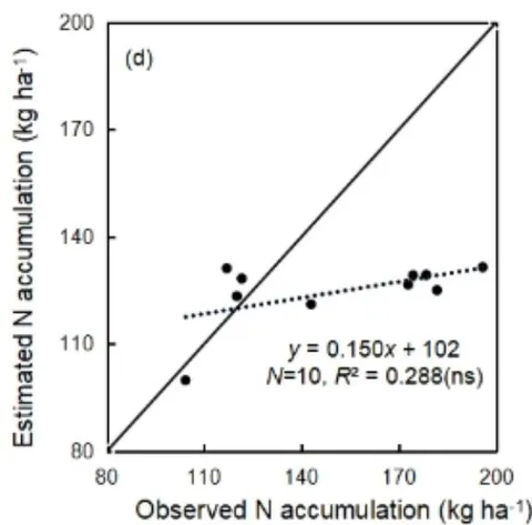 Figure 1: Comparison of estimation and observation values for dry matter (a) and N accumulation (b) in Exp. 4 and dry matter (c) and N accumulation (d) in Exp. 6 at anthesis where