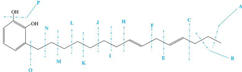 Figure 2: Illustrative fragmentation patterns of Urushiol (15:0 and 15:2)