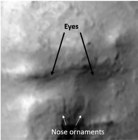 Figure 27: A portion of the MRO orbiter image of the Face of Galaxies at different lighting. Note the apparent symmetrical nose ornaments