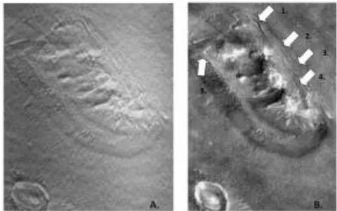 Figure 14: A and B. (A) Poorly enhanced "cat box" MSSS image (P220-03 NA image) released 5 April 1998 (B) Enhanced version by Mark Carlotto showing 1. Helmet ornaments, 2. Eyes, 3. Nostrils, 4. Mouth 5. Helmet Framecorner. Note elliptical shape of crater beside face confirming oblique viewing angle. (Courtesy Mark Carlotto)