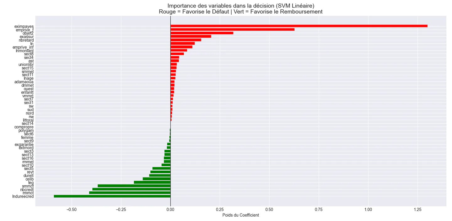 Graphic 3 : Variable weights in the SVM model decision