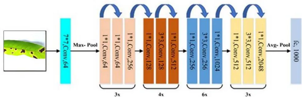Fig. 5: The architecture of ResNet50 [21]