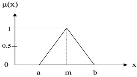 Figure 1: Fuzzy Membership Function