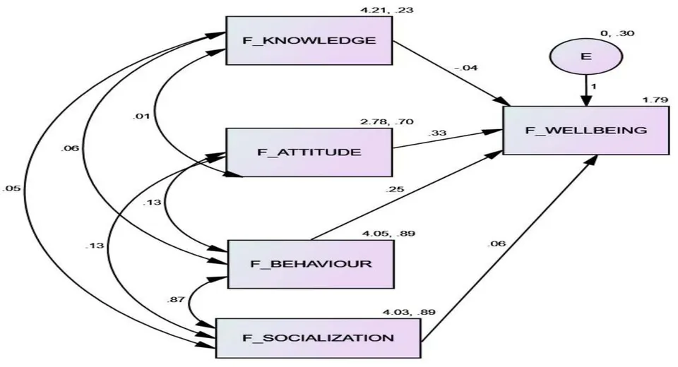 Figure 2: Determinants of financial literacy and financial wellbeing