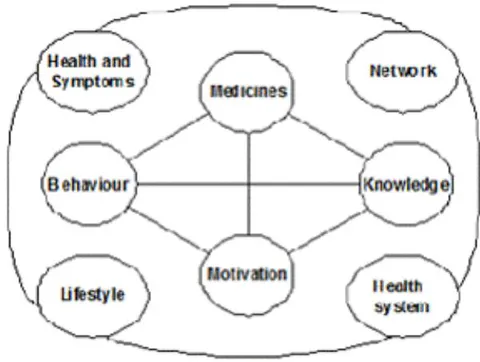 Figure 2: The individualised systems model