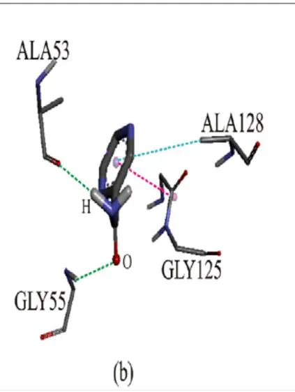 Fig. 10: Interaction of (a) MPIMP and (b) pyrazinamide to 4KW5 binding site