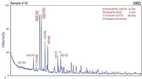 Figure 23: The diagram of compounds in sample n. 10 and its charts.