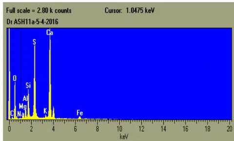 Figure 26: The diagram of elements detectors, in sample n.11.